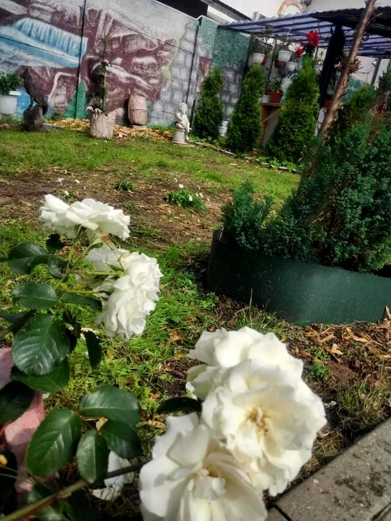 Юбилей за городом Барановичи Дом торжеств Мышанка